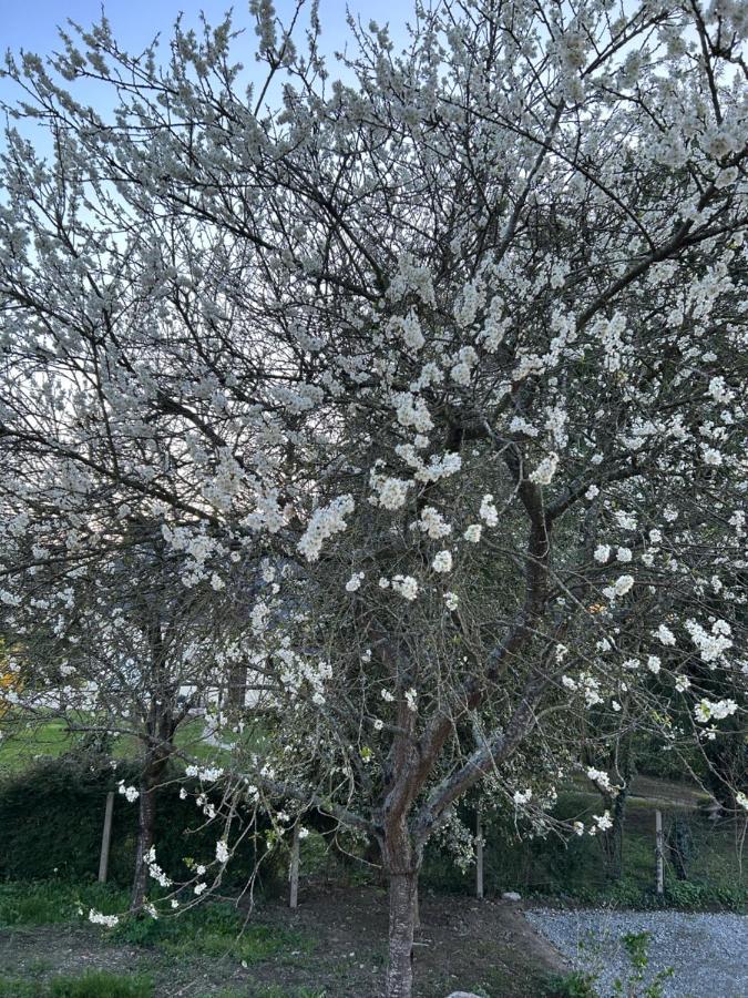 蓬托尔松Arc En Ciel Du Mont住宿加早餐旅馆 外观 照片